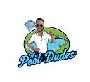 The Pool Dudes logo
